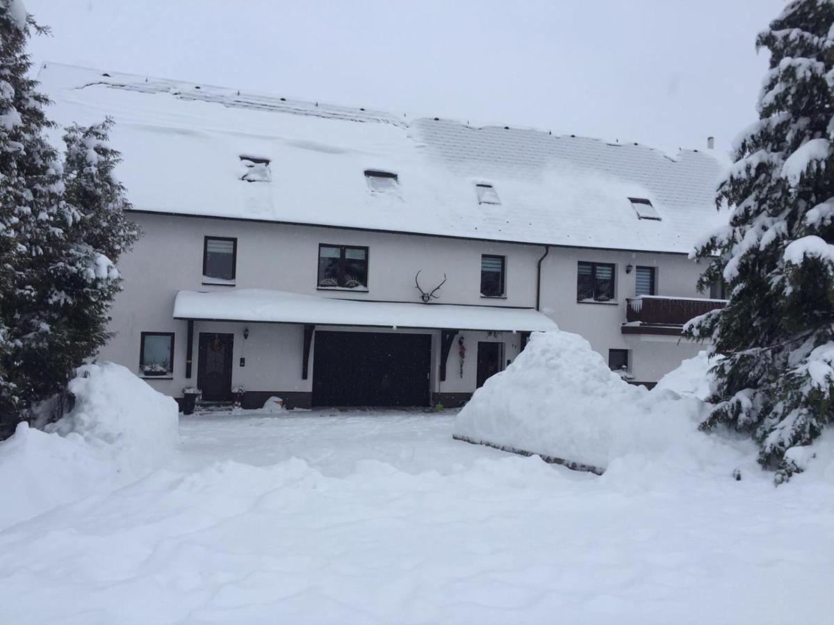 Ferienwohnung Juedel Mit Saunanutzung Beierfeld 外观 照片